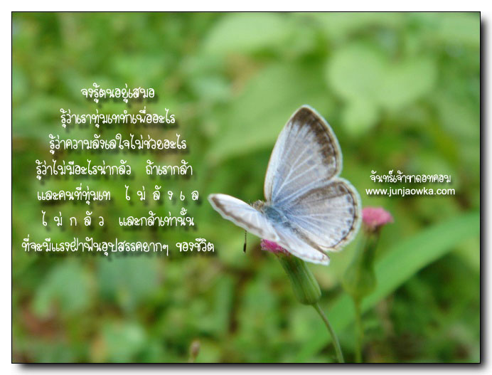 กำลังใจ..ให้คุณ