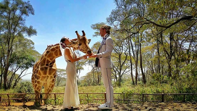 Giraffe Center, Nairobi