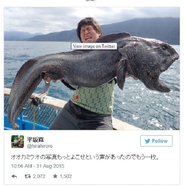 ฮือฮา..ชาวประมงญี่ปุ่นจับปลาไหลยักษ์ หน้าโหดได้อีก!!