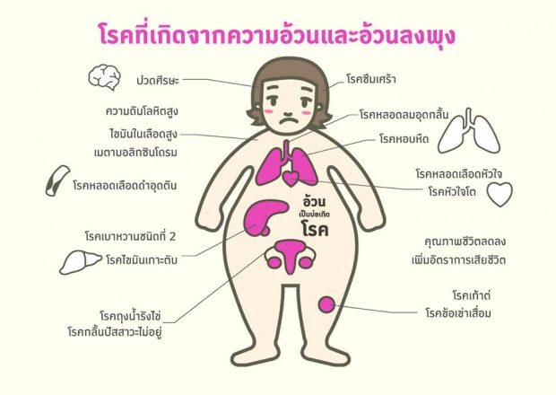 เพราะอะไรเราถึงอ้วน!  เข้าใจได้ง๊าย ง่าย! ลองอ่านดู!