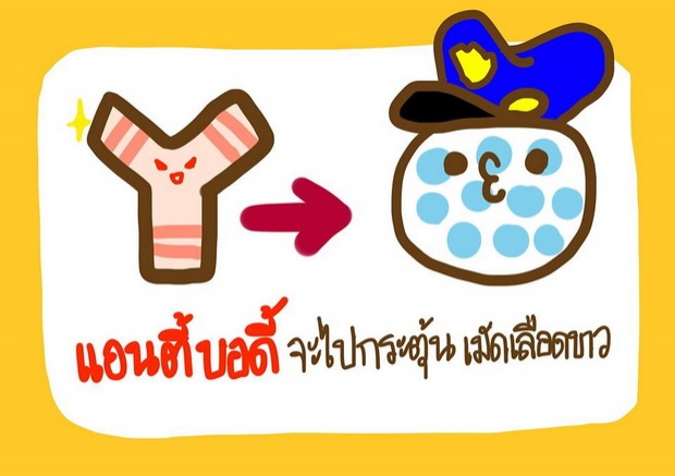  ‘แพ้อาหาร’ดัดจริตจริงดิ!  อธิบายด้วยภาพ เข้าใจได้ง๊าย ง่าย!