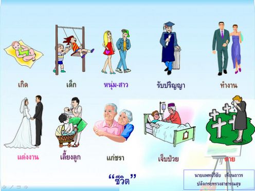 วงจรชีวิตคนเรา ลองพิจารณาดู 