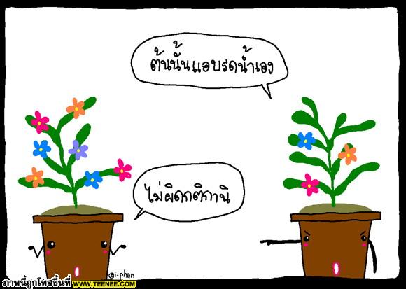 ข้อคิดดีๆ‏ จากดอกไม้