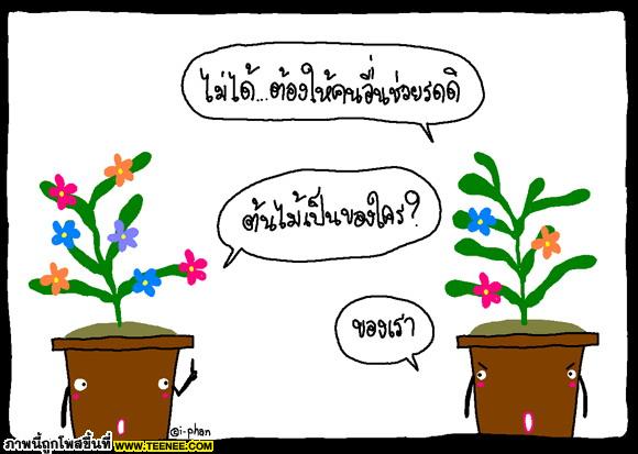 ข้อคิดดีๆ‏ จากดอกไม้