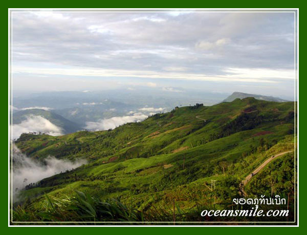 ภูทับเบิก-น้ำหนาว ในความงามฤดูฝน 