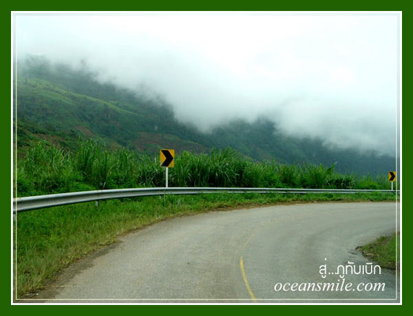 ภูทับเบิก-น้ำหนาว ในความงามฤดูฝน 