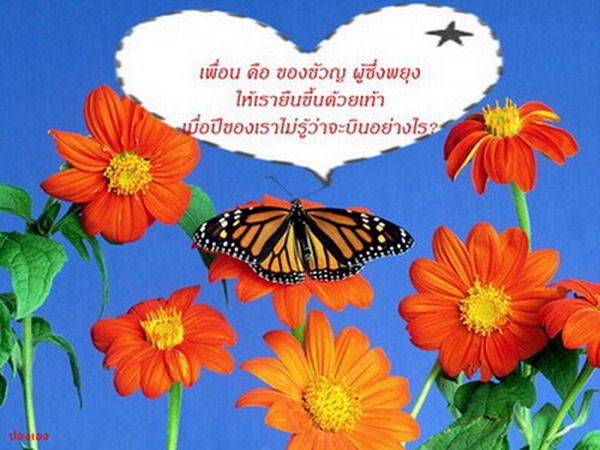 นี่แหละ..ชีวิต