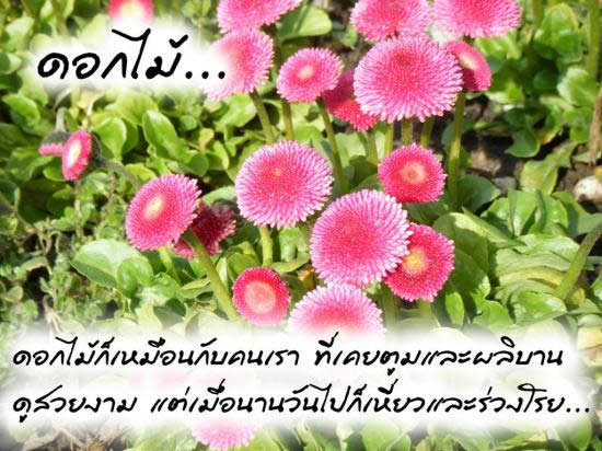  แ ค่ นั้ น เ อ ง  