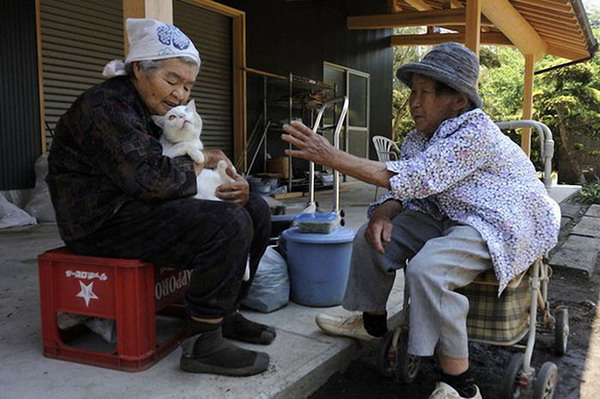 มิตรภาพคนสัตว์ น่ารักสุดประทับใจ 