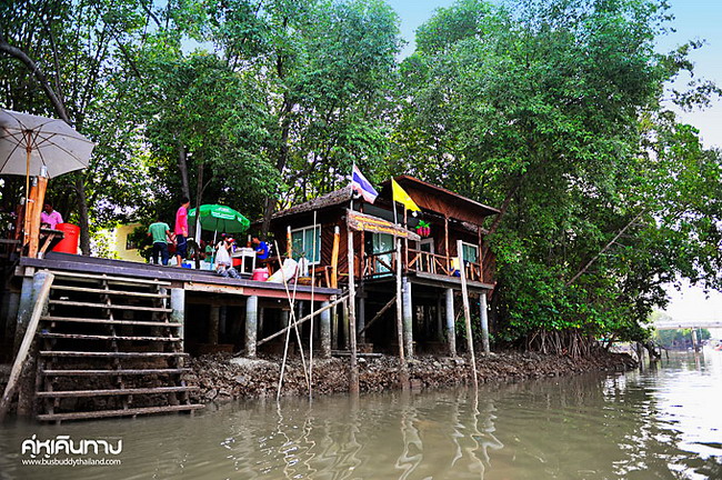 ล่องเรือชมธรรมชาติ ณ ศูนย์อนุรักษ์ป่าชายเลน คลองโคน จ.สมุทรสงคราม