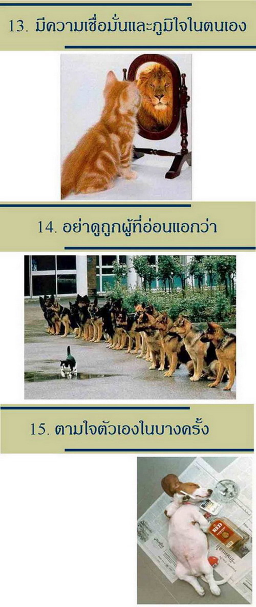 18 วิธีที่จะทำให้ชีวิตมีความสุข...น่ารักดี