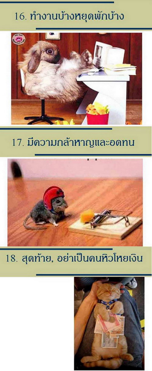 18 วิธีที่จะทำให้ชีวิตมีความสุข...น่ารักดี