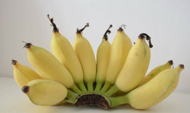 ทำไม “กินกล้วยน้ำว้า” มื้อเช้าจึงมีประโยชน์มาก  