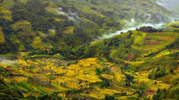 นี่คือ พื้นที่ทำการเกษตร ที่แสนงดงามที่สุดในโลก