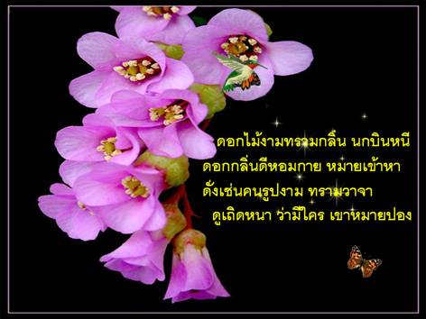 คำคม ดลใจ