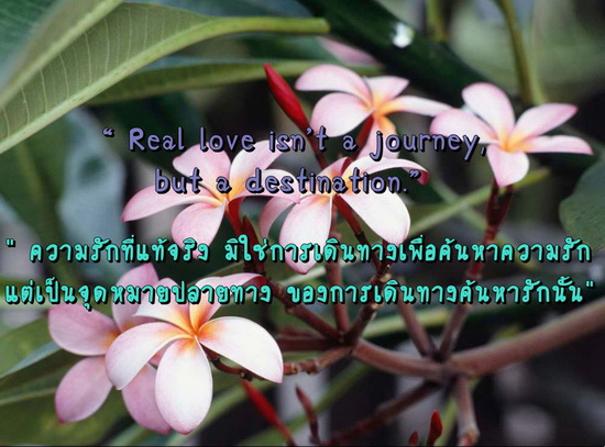 คำคม ภาษาอังกฤษ แปลไทย 