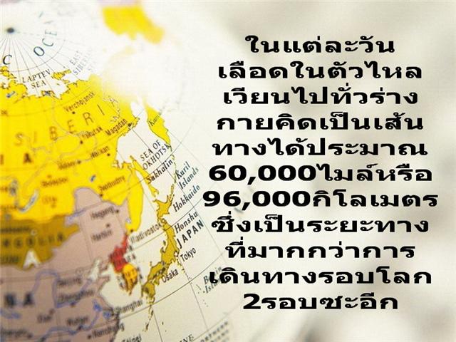 รู้ไว้ใช่ว่า ~ ร่างกายของเรา‏ ~ 