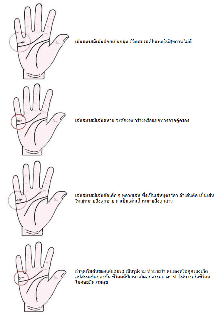 เส้นแต่งงาน ของคุณเป็นแบบไหนกัน 