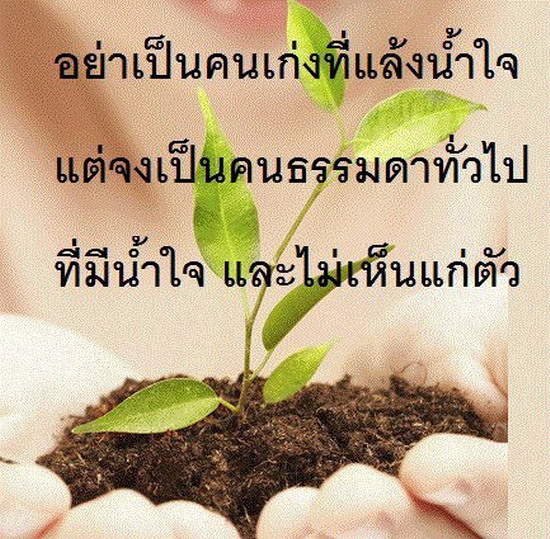 คำคมสอนใจ เตือนสติ 