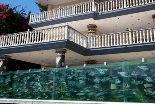 เศรษฐีตุรกีทำรั้วบ้านเป็นอะควาเรียมสัตว์น้ำทะเลยาวเกือบ 50 เมตร (มีคลิป)