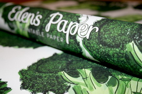 สุดแนว นวัตกรรมแห่งปี กระดาษห่อของขวัญ นำมาปลูกผักสดๆได้ 