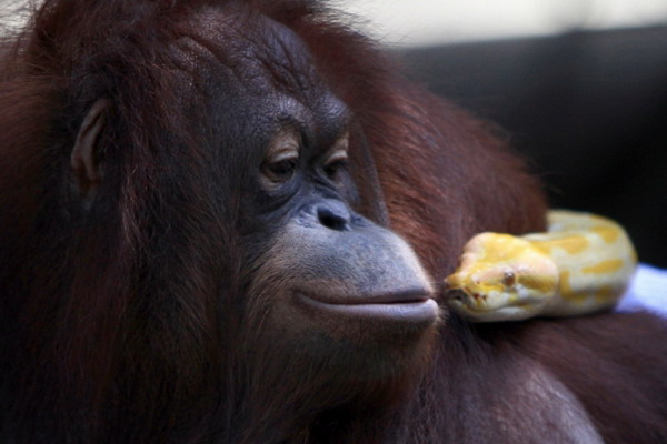 Time คัดภาพเด็ดสุดตะลึง The Most Surprising Photos of 2013