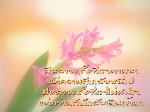 นั่นคือความรักใช่ไหม…