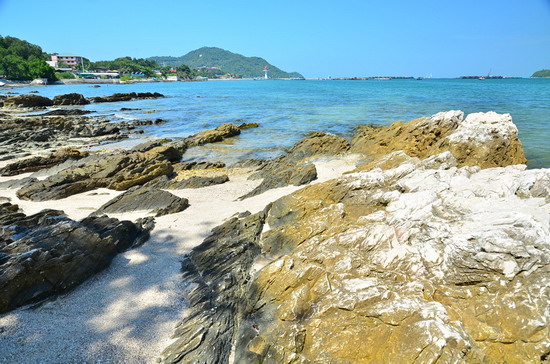 เกาะสีชัง :ทะเล วัง และศรัทธา ชีวิตชีวาของทะเลอ่าวไทย