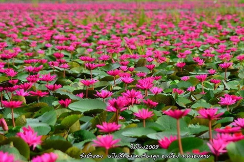 7 ที่เที่ยวธรรมชาติน้องใหม่เมืองไทย ที่คุณอาจไม่เคยเห็น!