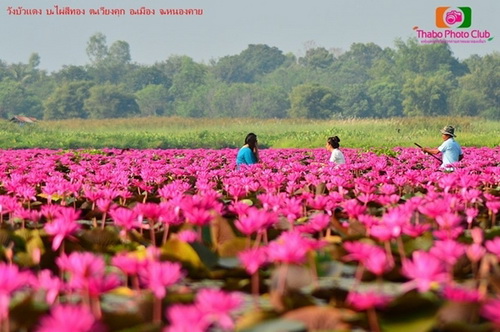 7 ที่เที่ยวธรรมชาติน้องใหม่เมืองไทย ที่คุณอาจไม่เคยเห็น!