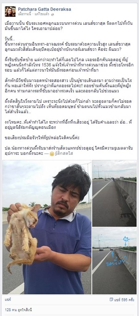 แชร์กระฉ่อน! หนุ่มใจดีช่วยแมวบาดเจ็บบนทางด่วน