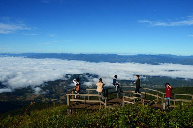 หนาวสุดท้าย สำหรับนักเดินป่ามือใหม่ ที่กิ่วแม่ปาน