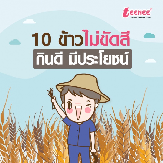 10 ข้าวไม่ขัดสี กินดีมีประโยชน์