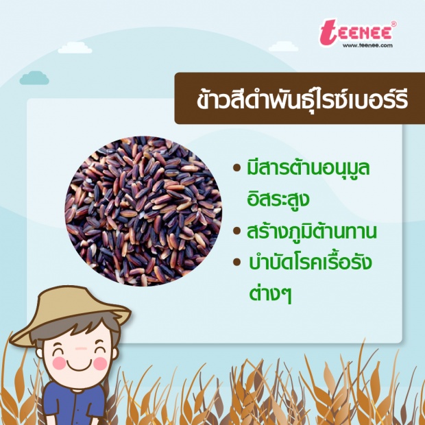 10 ข้าวไม่ขัดสี กินดีมีประโยชน์