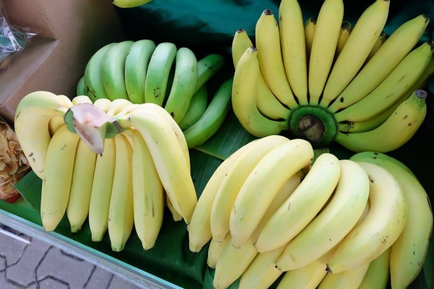 ประโยชน์ของกล้วยแต่ละชนิด ที่ไม่กล้วย