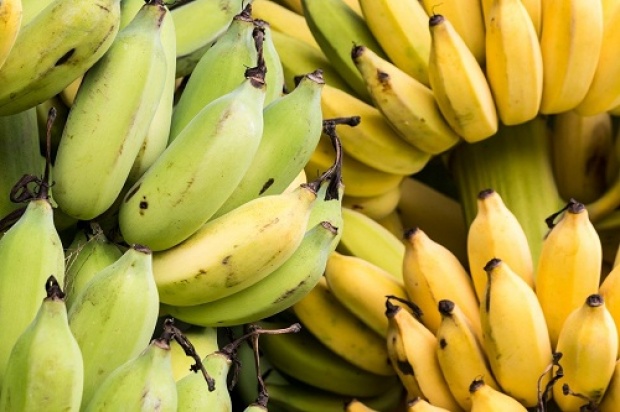 ประโยชน์ของกล้วยแต่ละชนิด ที่ไม่กล้วย