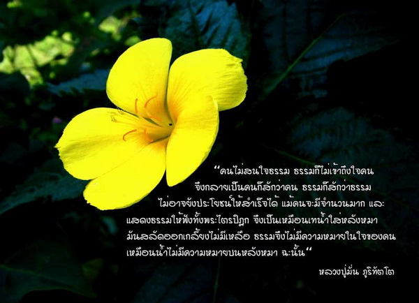 มงคลชีวิต (2) 