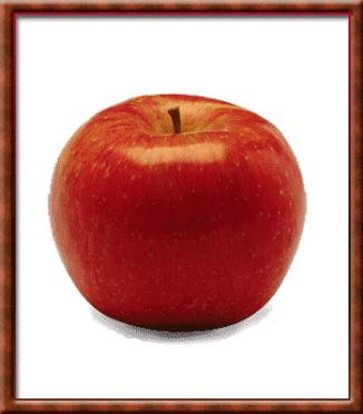 แอ๊ปเปิ้ลสีแดง