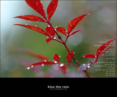 Kiss the rain