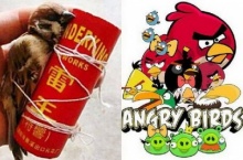 ทำไปได้!! เด็กดื้อจับนกกระจอกมัดกับพลุจรวด เลียนแบบ Angry Birds 