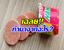 เข้าใจผิดมาตลอด! ขนมบ๊วยเเผ่นที่กินตั้งเเต่เด็ก เเต่จริงเเล้วไม่ใช่บ๊วย