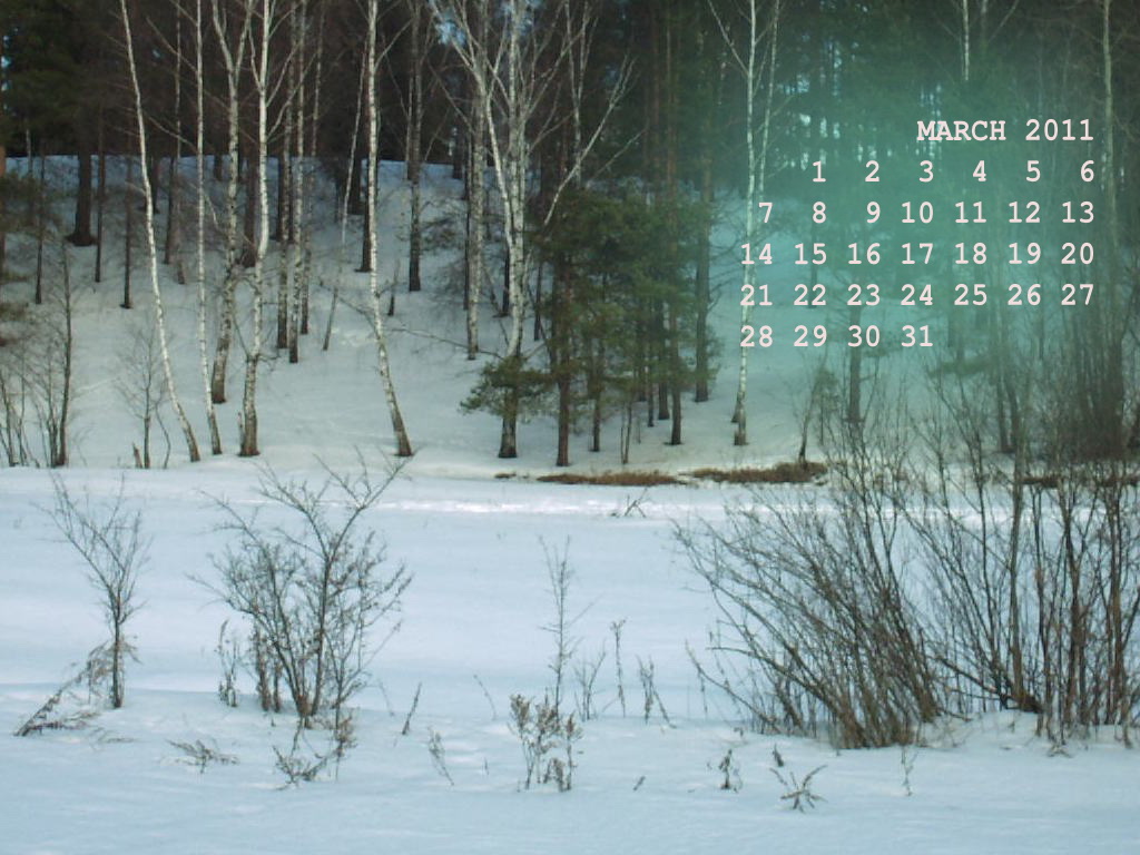 ปฎิทิน wallpaper รับปีใหม่ 2011 สวย ๆ จ้า!!