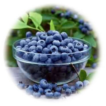 บิลเบอร์รี่ (Bilberry) กับการถนอมดวงตา 