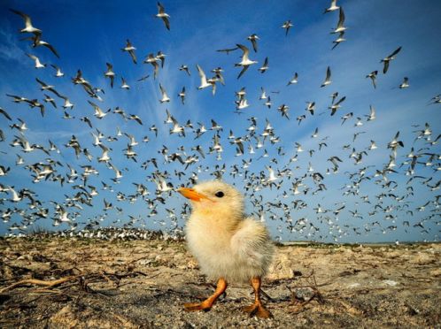 ภาพถ่ายวิวสุดอลังการ National Geographic November 2012 