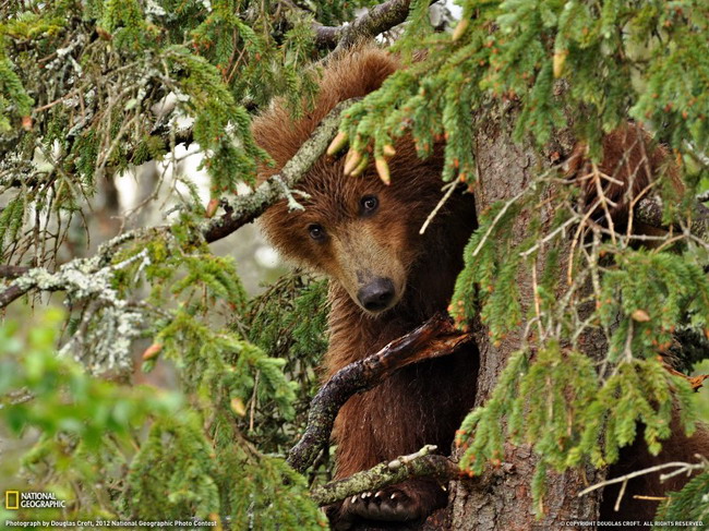 ภาพถ่ายวิวสุดอลังการ National Geographic November 2012 