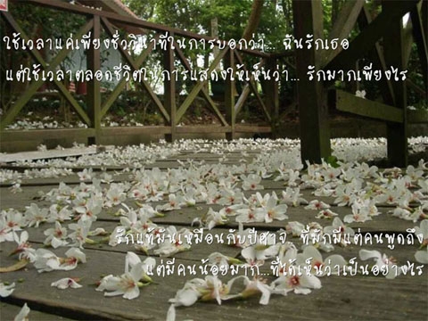 โลกทั้งใบของใครคนหนึ่ง