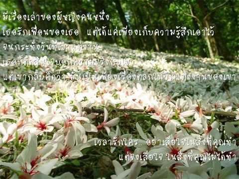 โลกทั้งใบของใครคนหนึ่ง