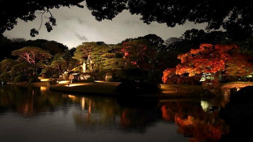 บรรยากาศใบไม้เปลี่ยนสีจากสวน Rikugien ที่กรุงโตเกียว