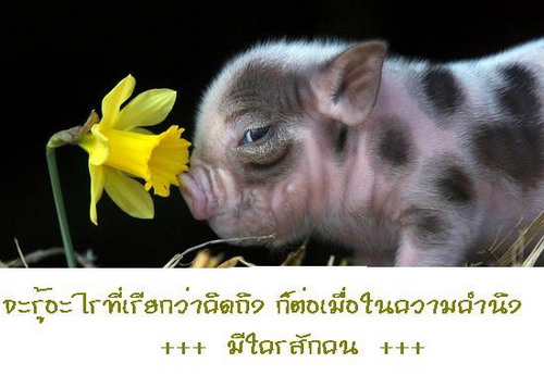 กว่าจะรู้ว่า....