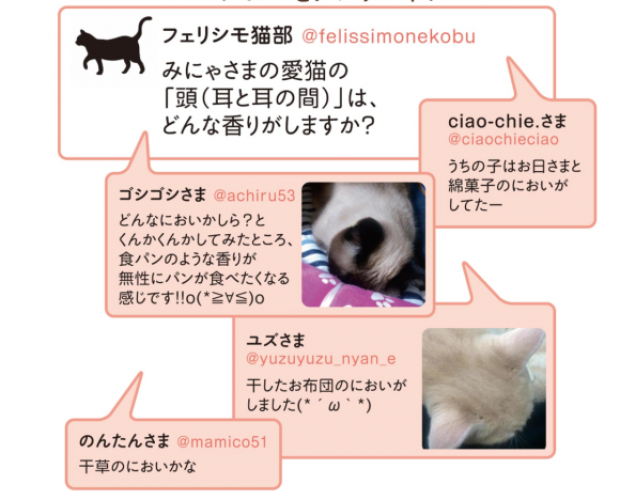 ญี่ปุ่นหัวใส ผลิตสเปรย์กลิ่น “แมว” ที่เหล่าทาสแมวต้องหามาครอบครอง